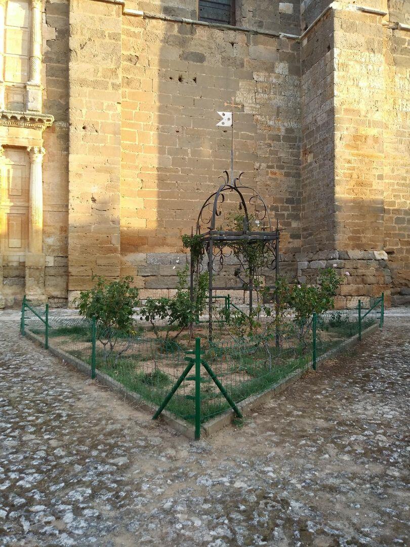 Fotografía de la galería de imágenes con id: 1733