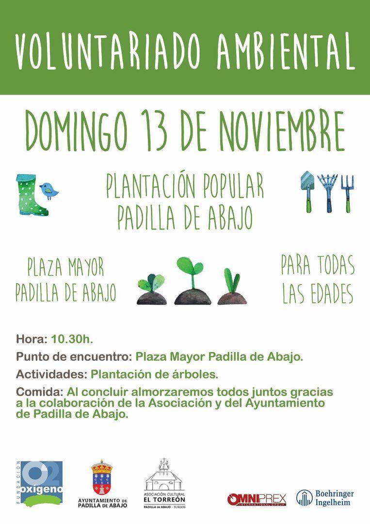 PLANTACION POPULAR - Voluntariado ambiental -
